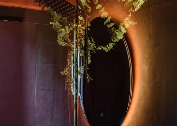Apartment Tiny In Trendy Cdmx Mexico City